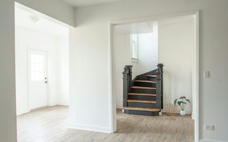 a white room with a staircase and a potted plant