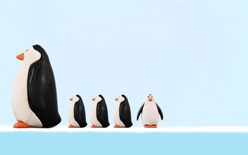 Groep keizerspinguïns die dicht op elkaar staan in een sneeuwstorm op Antarctica