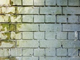 Donkere schimmelvlek in de hoek van een muur in een woning