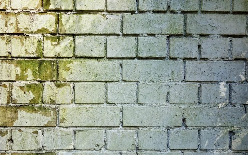 Donkere schimmelvlek in de hoek van een muur in een woning