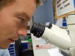 Wetenschapper die onderzoeksdata bestudeert aan een bureau