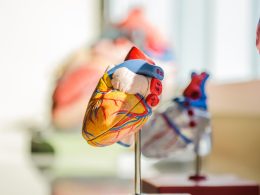 Anatomische illustratie van de alvleesklier in de menselijke buikholte